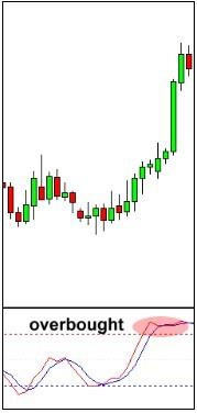 1caec589388941d0903db5c3a07a9d72