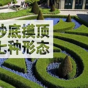 汇市七种抄顶摸底的K线形态