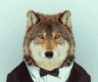 交易行业的这种诈骗不得不防：杀熟，发展下线，喊单老师，资管带你挣大钱，最后人财两空！