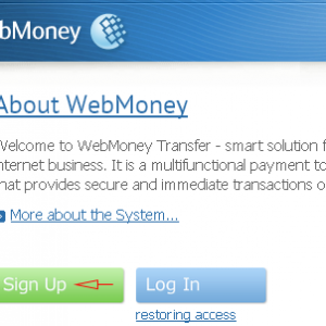 最新WebMoney注册教程