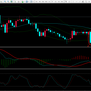 保持耐心识别交易中的那些假象