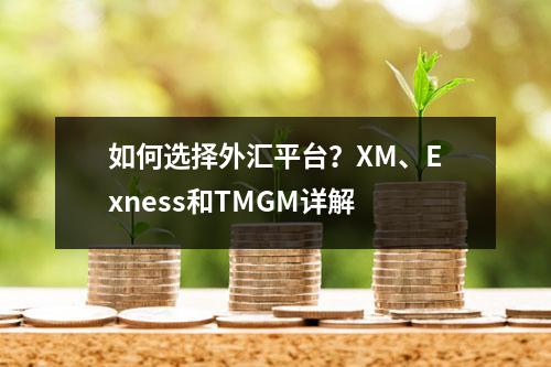 如何选择外汇平台？XM、Exness和TMGM详解