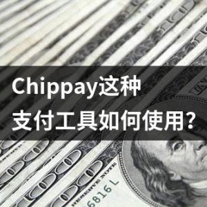 Exness平台Chippay这种支付通道如何使用？