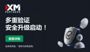 XM外汇8月11日外汇实战策略