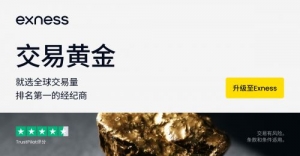 外汇交易者如何合理使用外汇杠杆？