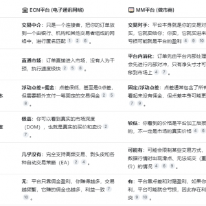 ECN与MM外汇平台核心差异解析：如何避开隐性陷阱